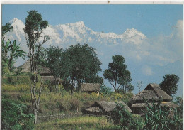 LANGTANG HIMAL - Népal