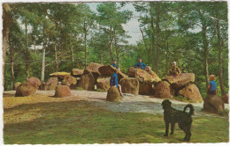 Hunebed Emmerdennen - (Drenthe, Nederland/Holland) - 1968 - Dolmen, Hond/Chien - Emmen