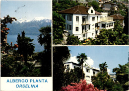 Albergo Planta - Orselina-Locarno - 3 Bilder (8282) * 16. 7. 1981 - Orselina