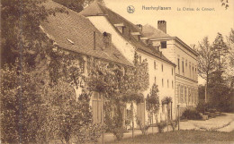 BELGIQUE - NEERHEYLISSEM - Le Château De Crimont - Carte Postale Ancienne - Other & Unclassified