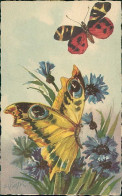 CHIOSTRI SIGNED 1920s - FLOWERS & BUTTERFLIES - EDIT BALLERINI & FRATINI - N. 328 (4278) - Chiostri, Carlo