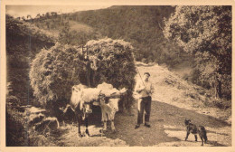 FRANCE - 64 - Pay Basque - Attelage Du Pays - Edition D'art YVON - Carte Postale Ancienne - Andere & Zonder Classificatie