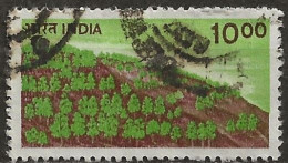 INDE - Forêt à Flanc De Colline - Used Stamps