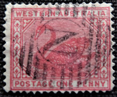 Australie  Western Australia 1902 -1905 Black Swan Stampworld N° 49 - Used Stamps