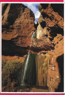 U.S.A. - ARIZONA - GRAND CANYON - RIBBON FALLS - VIAGGIATA 1990 - Grand Canyon