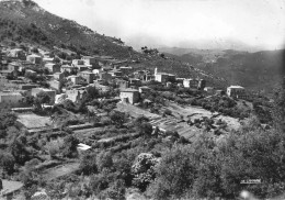 Urtaca * Panorama Du Village * Haute Corse 2B - Otros & Sin Clasificación