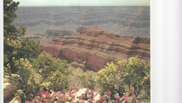 ARIZONA AUTUMN ON THE NORTH RIM  GRAND CANYON NATIONAL PARK - Grand Canyon