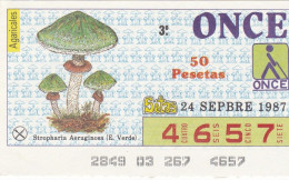 Billet De Loterie Espagnol Champignons  Strophaires Aeruginosa  Voir Les Scans - Lottery Tickets