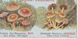 Chromo  Chocolats Aiguebelle Champignons Marasmius Oréades Et Hypholomes   Voir Les Scans - Aiguebelle