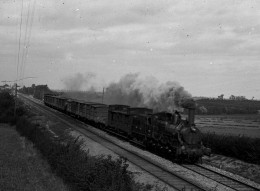 Photo Train Dans La Campagne Format 13/18 - Eisenbahnen