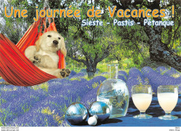 CHIEN DOG # APÉRO # HUMOUR - UNE JOURNÉE DE VACANCES ! SIESTE - PASTIS - PÉTANQUE. - Bowls