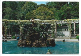 CAMPO GRANDE. FUENTE DEL CISNE / LARGE FIELD. SWAN'SFOUNTAIN.-  VALLADOLID.- ( ESPAÑA ) - Valladolid