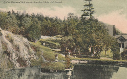 Pool In Rockwood Park Near The Bear Den, St. John, New Brunswick - St. John