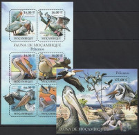 Pelican, Water Birds, Odd Shape, Mozambique 2011 MNH MS+SS - Pelikanen