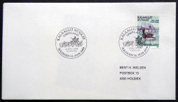 Greenland 1989 SPECIAL POSTMARKS. RHEIN -RUHR  14-16-04 SOLINGEN  ( Lot 867) - Covers & Documents