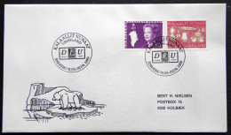Greenland 1989 SPECIAL POSTMARKS. DFU ESBJERG 31.3 - 2.4  ( Lot 866) - Covers & Documents