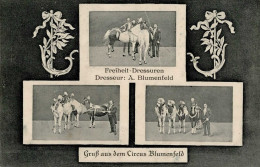 Zirkus BLUMENFELD Dressuren I-II - Circus