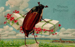 Maikäfer Personifiziert Pfingsten Präge-Karte 1911 I-II Hanneton - Insecten