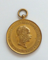 Medaille Österreich Kriegsmedaille Kaiser Franz Josef I. Rs 2. Dezember 1873 Ohne Band 37mm - History