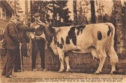 LE MARECHAL JOFFRE ADMIRANT , DANS UNE DE NOS FERMES MODELES LORS DE SA DERNIERE VISITE AUX ETATS-UNIS 1922... - Fattorie