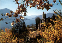 Ronco - SBB-Karte - Ronco Sopra Ascona
