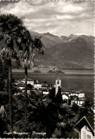 Lago Maggiore - Brissago (3831) * 25. 7. 1961 - Brissago