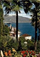 Brissago (Lago Maggiore) (708) * 1970 - Brissago