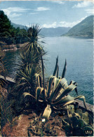 Isole Di Brissago (Lago Maggiore) - Parco Botanico Del Ct. Ticino (631) * 1971 - Brissago