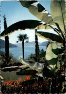 Brissago (Lago Maggiore) - Vegetazione * 17. 9. 1956 - Brissago