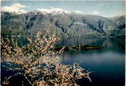 Isole Di Brissago (Lago Maggiore) (630) * 9. 7. 1969 - Brissago