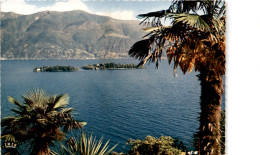 Isole Di Brissago (638) * 8. 11. 1971 - Brissago