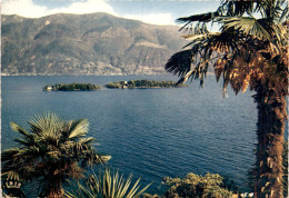 Isole Di Brissago (638) * 25. 10. 1971 - Brissago