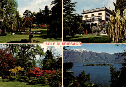 Isole Di Brissago - 4 Bilder (592) * 13. 4. 1982 - Brissago
