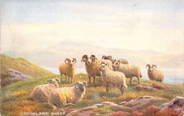 ANIMAUX - MOUTONS - Highland Sheep - Illustration - Carte Postale Ancienne - Andere & Zonder Classificatie