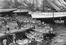 Concarneau * Le Débarquement Du Thons Sur Le Port * Pêche Pêcheurs - Concarneau