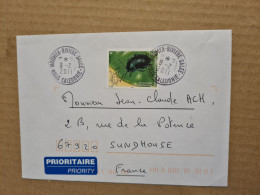 NOUVELLE CALEDONIE NOUMEA RIVIERE SALEE CHRYSOMELE 2011 - Cartas & Documentos