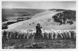 Les Landes * Les Moutons Sur Les Dunes * Berger Métier - Other & Unclassified