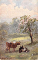 ANIMAUX - Illustration Henry PAYNE - Vaches Dans Un Pré - Carte Postale Ancienne - Vacas