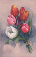 Hannes Petersen Illustrateur, Bouquet De Tulipes (1467) - Petersen, Hannes