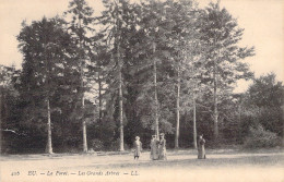 FRANCE - 80 - EU - La Forêt - Les Grands Arbres - LL - Carte Postale Ancienne - Sonstige & Ohne Zuordnung