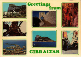 CPA Gibraltar-Greetings From Gibraltar (320853) - Gibraltar