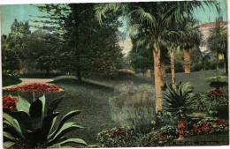 CPA AK Ed. AQUA 11 Monaco MONTE CARLO Les Jardins (214375) - Jardin Exotique