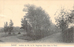 BELGIQUE - JJUMET - Institut De Mr Le Dr Dogniaux - Vue Dans Le Parc - Carte Postale Ancienne - Altri & Non Classificati