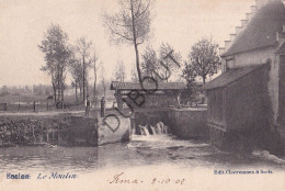 Postkaart/Carte Postale - Halen - Le Moulin (C4104) - Halen