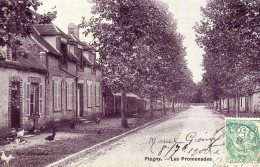 - FLOGNY (89) -  Les Promenades, Les Poules En Liberté  -25358- - Flogny La Chapelle