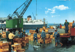 Boulogne Sur Mer * Le Débarquement Du Poisson Sur Le Port * Grue - Boulogne Sur Mer