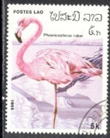 N°  690 - Flamingos