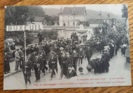 Bar Sur Seine (Aube) - Fête Du Champagne Le 4 Septembre 1921 - Char De Buxeuil, Attelage - Bar-sur-Seine
