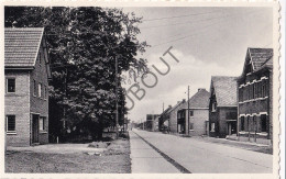 Postkaart/Carte Postale - Beverlo - Steenweg Op Oostham (C4002) - Beringen