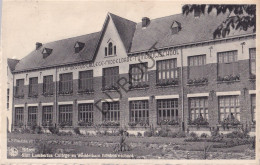 Postkaart/Carte Postale - Bilzen - Sint Lambertus College (C3937) - Bilzen